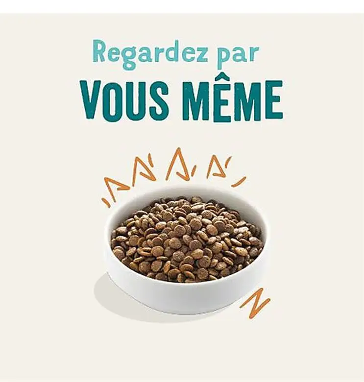 Edgard & Cooper - Croquettes Au Poulet Pour Chien - 7Kg 4 Edgard & Cooper - Croquettes Au Poulet Pour Chien - 7Kg – Image 2