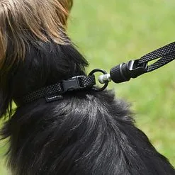 Goleygo - Laisse Plate Réglable Noir Pour Chien - S -Animalerie Boutique 47708