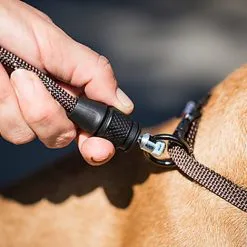 Goleygo - Laisse Ronde Réglable Marron Pour Chien - M -Animalerie Boutique 47752