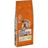 Dog Chow - Croquettes Mature Au Poulet Pour Chien - 14Kg