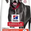 Hill's Science Plan - Croquettes Adulte Large Breed Perfect Digestion Au Poulet Pour Chien - 12Kg -Animalerie Boutique 63645