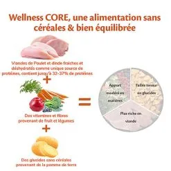 Wellness CORE - Croquettes Original Dinde Et Poulet Pour Chien - 1,8Kg -Animalerie Boutique 64077