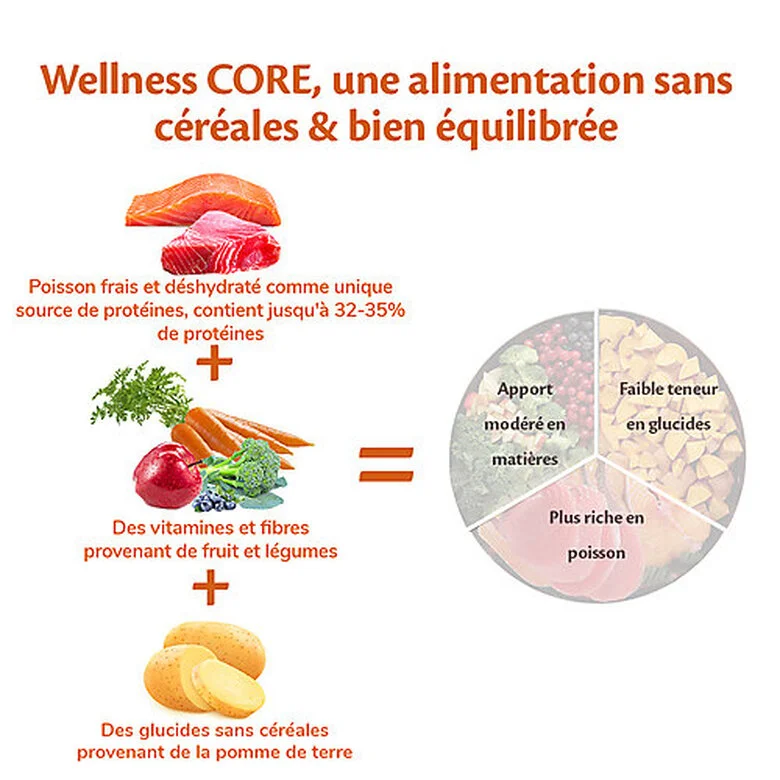 Wellness CORE - Croquettes Océan Saumon Et Thon Pour Chien - 1,8Kg 6 Wellness CORE - Croquettes Océan Saumon Et Thon Pour Chien - 1,8Kg – Image 4
