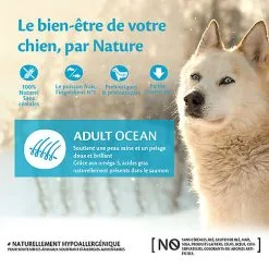 Wellness CORE - Croquettes Océan Saumon Et Thon Pour Chien - 1,8Kg 8 Wellness CORE - Croquettes Océan Saumon Et Thon Pour Chien - 1,8Kg -Animalerie Boutique 64081