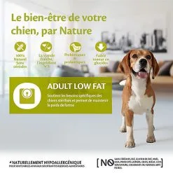 Wellness CORE - Croquettes Light à La Dinde Pour Chien - 1,8Kg -Animalerie Boutique 64084