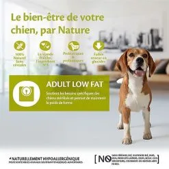 Wellness CORE - Croquettes Light à La Dinde Pour Chien - 10Kg -Animalerie Boutique 64101