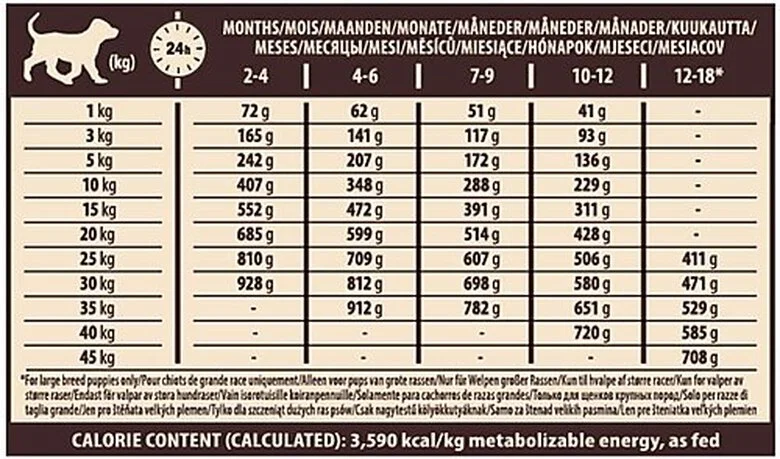Wellness CORE - Croquettes Puppy Dinde Et Poulet Pour Chiot - 10Kg 8 Wellness CORE - Croquettes Puppy Dinde Et Poulet Pour Chiot - 10Kg – Image 6