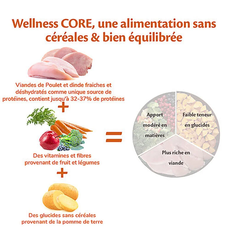 Wellness CORE - Croquettes Puppy Dinde Et Poulet Pour Chiot - 10Kg 6 Wellness CORE - Croquettes Puppy Dinde Et Poulet Pour Chiot - 10Kg – Image 4