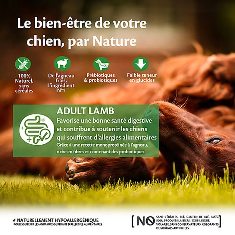 Wellness CORE - Croquettes à L'Agneau Pour Chien De Toutes Races - 10Kg 4 Wellness CORE - Croquettes à L'Agneau Pour Chien De Toutes Races - 10Kg – Image 2