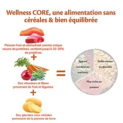Wellness CORE - Croquettes Océan Saumon Et Thon Pour Chien De Petite Race - 5Kg -Animalerie Boutique 64222