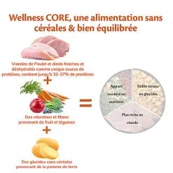 Wellness CORE - Croquettes Light Poulet Et Dinde Pour Chien De Petite Race - 5Kg -Animalerie Boutique 64228