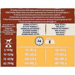 Dog Chow - Croquettes Mature Au Poulet Pour Chien - 14Kg -Animalerie Boutique 64249