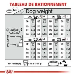 Royal Canin - Croquettes Maxi Adult Dermacomfort Pour Chien - 12Kg -Animalerie Boutique 64792
