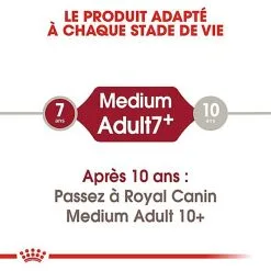 Royal Canin - Croquettes Medium Adulte 7+ Pour Chien -Animalerie Boutique 66799