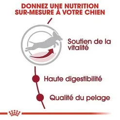 Royal Canin - Croquettes Medium Adulte 7+ Pour Chien -Animalerie Boutique 66802