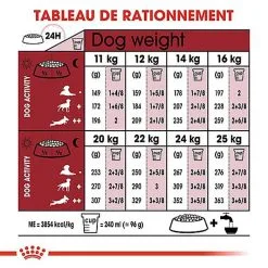 Royal Canin - Croquettes Medium Adulte 7+ Pour Chien -Animalerie Boutique 66803