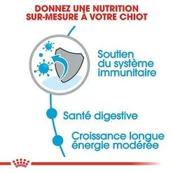 Royal Canin - Croquettes Maxi Puppy Pour Chiot -Animalerie Boutique 66815