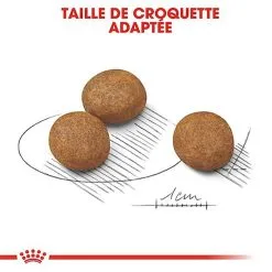 Royal Canin - Croquettes Maxi Puppy Pour Chiot -Animalerie Boutique 66817