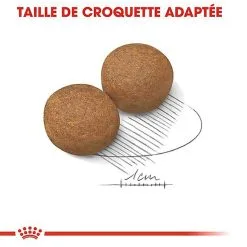Royal Canin - Croquettes Maxi Adult Pour Chien -Animalerie Boutique 66830