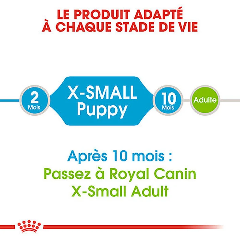 Royal Canin - Croquettes Puppy X-Small Pour Chiot De Petite Taille - 1,5Kg 5 Royal Canin - Croquettes Puppy X-Small Pour Chiot De Petite Taille - 1,5Kg – Image 3