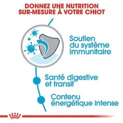Royal Canin - Croquettes Puppy X-Small Pour Chiot De Petite Taille - 1,5Kg 11 Royal Canin - Croquettes Puppy X-Small Pour Chiot De Petite Taille - 1,5Kg -Animalerie Boutique 66877