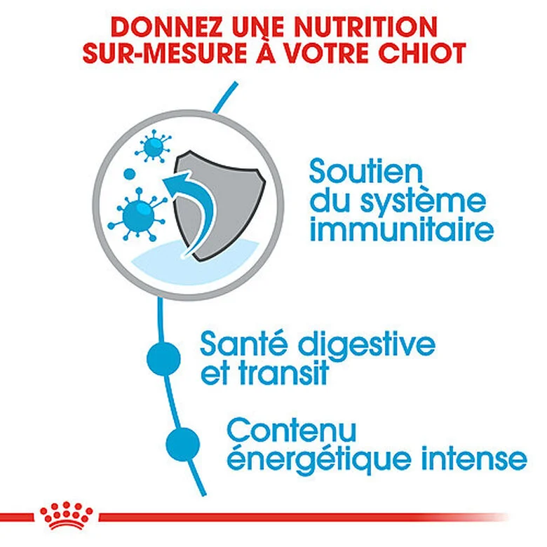 Royal Canin - Croquettes Puppy X-Small Pour Chiot De Petite Taille - 1,5Kg 6 Royal Canin - Croquettes Puppy X-Small Pour Chiot De Petite Taille - 1,5Kg – Image 4