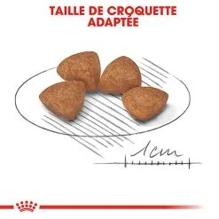 Royal Canin - Croquettes Puppy X-Small Pour Chiot De Petite Taille - 1,5Kg 12 Royal Canin - Croquettes Puppy X-Small Pour Chiot De Petite Taille - 1,5Kg -Animalerie Boutique 66878