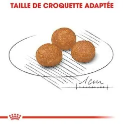 Royal Canin - Croquettes X-Small Pour Chien Adulte De Petite Taille - 1,5Kg -Animalerie Boutique 66884
