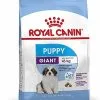 Royal Canin - Croquettes Giant Puppy Pour Chiot - 15Kg -Animalerie Boutique 66957