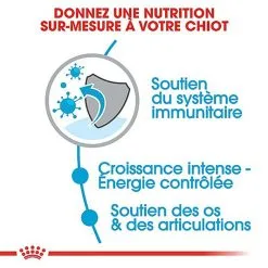 Royal Canin - Croquettes Giant Puppy Pour Chiot - 15Kg -Animalerie Boutique 66960