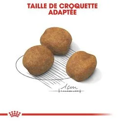 Royal Canin - Croquettes Giant Puppy Pour Chiot - 15Kg -Animalerie Boutique 66961