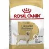 Royal Canin - Croquettes Labrador Pour Chien Adulte -Animalerie Boutique 67028