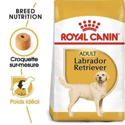 Royal Canin - Croquettes Labrador Pour Chien Adulte -Animalerie Boutique 67030