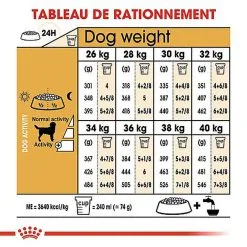 Royal Canin - Croquettes Labrador Pour Chien Adulte -Animalerie Boutique 67033
