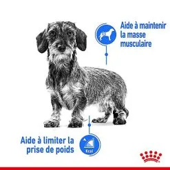 Royal Canin - Croquettes Mini Light Weight Care Pour Chien - 8Kg 12 Royal Canin - Croquettes Mini Light Weight Care Pour Chien - 8Kg -Animalerie Boutique 67069