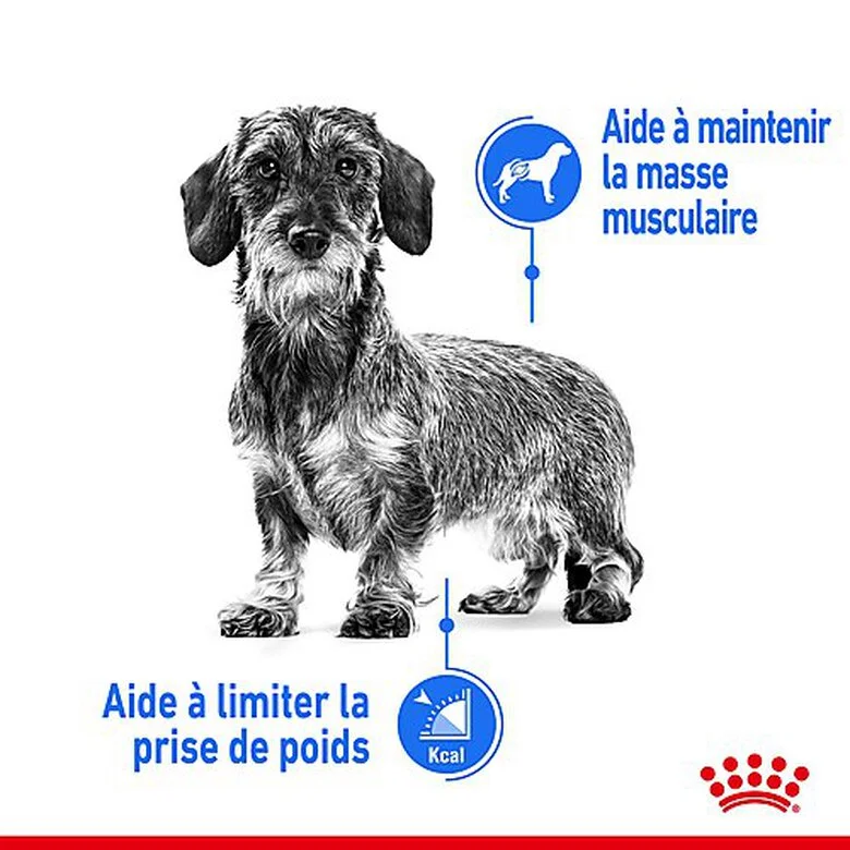 Royal Canin - Croquettes Mini Light Weight Care Pour Chien - 8Kg 5 Royal Canin - Croquettes Mini Light Weight Care Pour Chien - 8Kg – Image 3