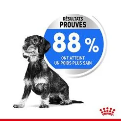 Royal Canin - Croquettes Mini Light Weight Care Pour Chien - 8Kg 13 Royal Canin - Croquettes Mini Light Weight Care Pour Chien - 8Kg -Animalerie Boutique 67070