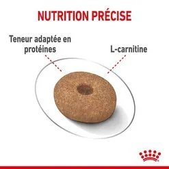 Royal Canin - Croquettes Mini Light Weight Care Pour Chien - 8Kg 14 Royal Canin - Croquettes Mini Light Weight Care Pour Chien - 8Kg -Animalerie Boutique 67071