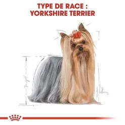 Royal Canin - Croquettes Yorkshire Terrier Pour Chien Adulte -Animalerie Boutique 67075