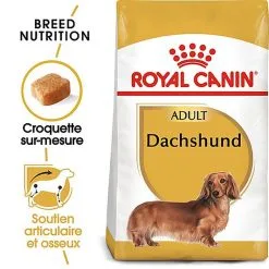 Royal Canin - Croquettes Teckel Pour Chien Adulte - 1,5Kg 7 Royal Canin - Croquettes Teckel Pour Chien Adulte - 1,5Kg -Animalerie Boutique 67100