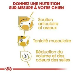 Royal Canin - Croquettes Teckel Pour Chien Adulte - 1,5Kg 8 Royal Canin - Croquettes Teckel Pour Chien Adulte - 1,5Kg -Animalerie Boutique 67101