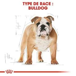 Royal Canin - Croquettes Bulldog Pour Chien Adulte -Animalerie Boutique 67118