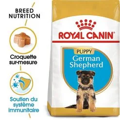 Royal Canin - Croquettes Berger Allemand Junior Pour Chiot -Animalerie Boutique 67177