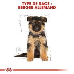 Royal Canin - Croquettes Berger Allemand Junior Pour Chiot -Animalerie Boutique 67179