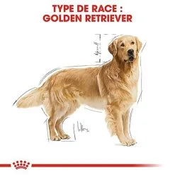 Royal Canin - Croquettes Golden Retriever Pour Chien Adulte -Animalerie Boutique 67279