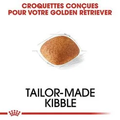 Royal Canin - Croquettes Golden Retriever Pour Chien Adulte -Animalerie Boutique 67281