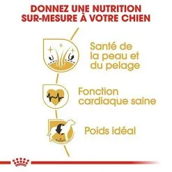 Royal Canin - Croquettes Golden Retriever Pour Chien Adulte -Animalerie Boutique 67282