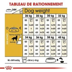 Royal Canin - Croquettes Golden Retriever Pour Chien Adulte -Animalerie Boutique 67283