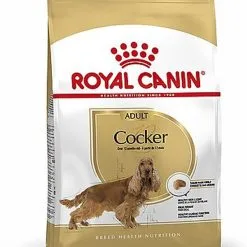 Royal Canin - Croquettes Cocker Pour Chien Adulte -Animalerie Boutique 67285