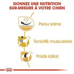 Royal Canin - Croquettes Carlin Pour Chien Adulte - 1,5Kg -Animalerie Boutique 67337